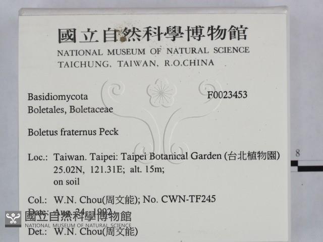 登錄號:F0023453藏品圖，第2張