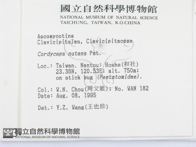 登錄號:F0003453藏品圖，第2張