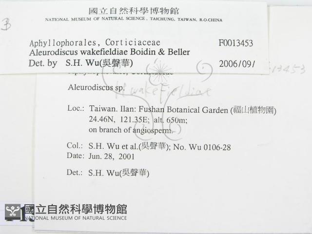 登錄號:F0013453藏品圖，第2張