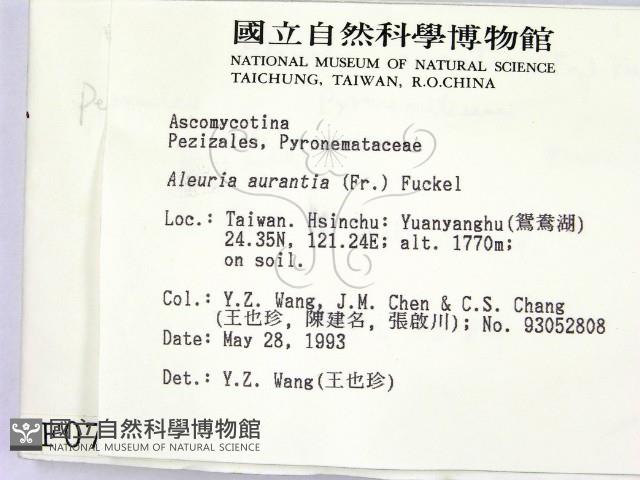 登錄號:F0000753藏品圖，第2張