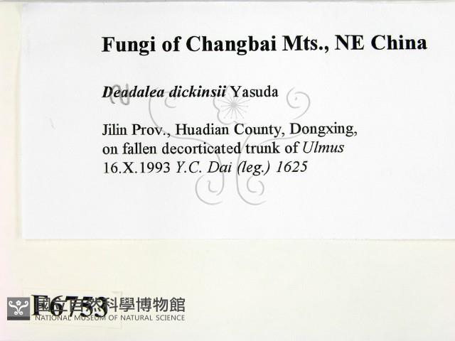 登錄號:F0006753藏品圖，第2張