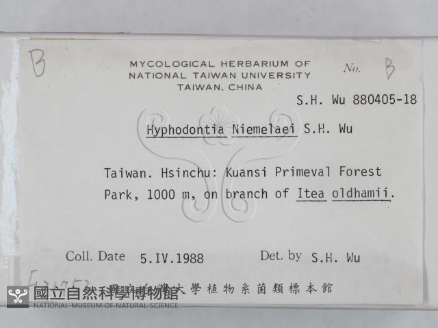 登錄號:F0021753藏品圖，第2張