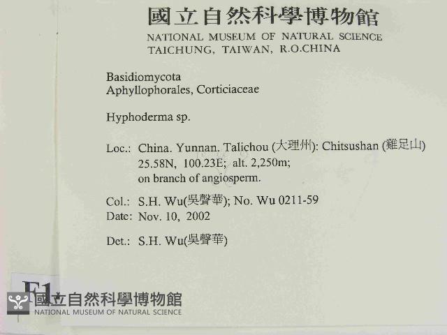 絲皮菌屬藏品圖，第2張