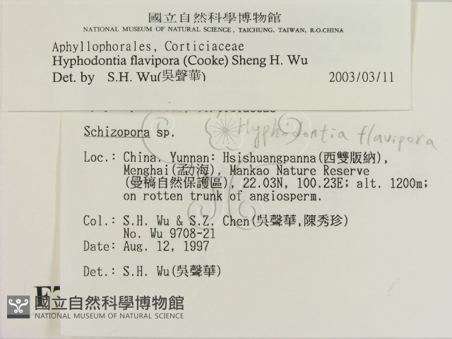 登錄號:F0007753藏品圖，第2張
