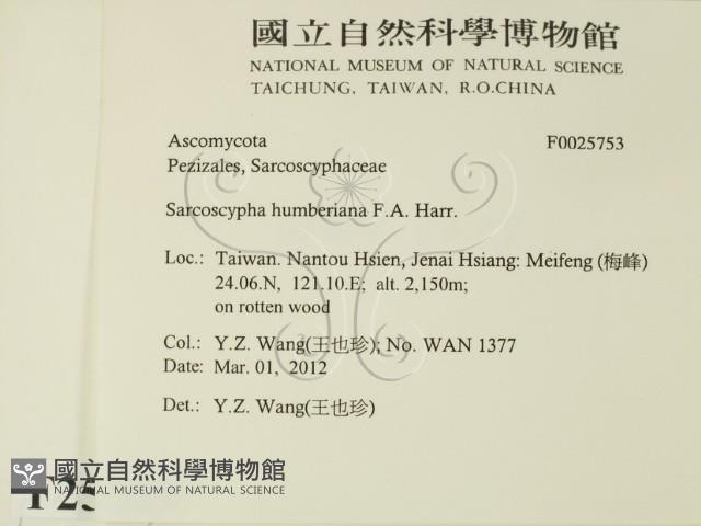 登錄號:F0025753藏品圖，第2張