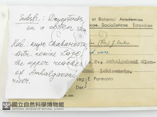 登錄號:F0015753藏品圖，第2張