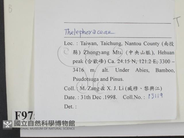 登錄號:F0009753藏品圖，第2張