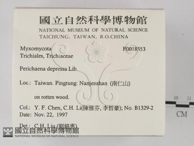 登錄號:F0018553藏品圖，第2張