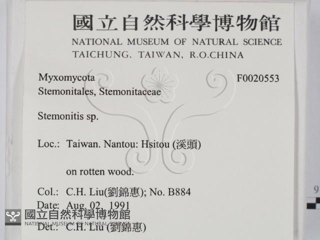 登錄號:F0020553藏品圖，第2張