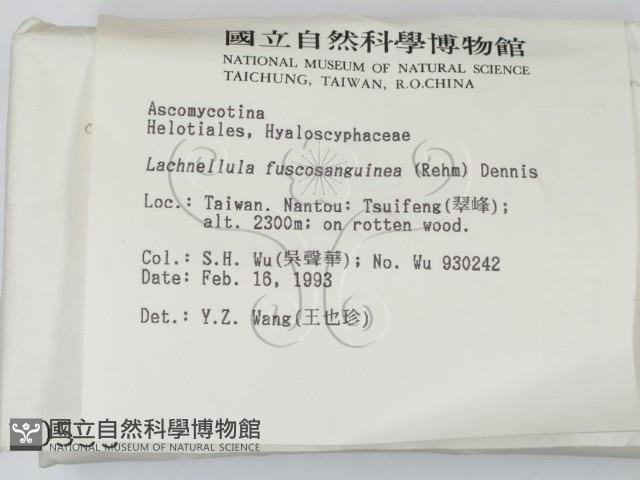 登錄號:F0000553藏品圖，第2張