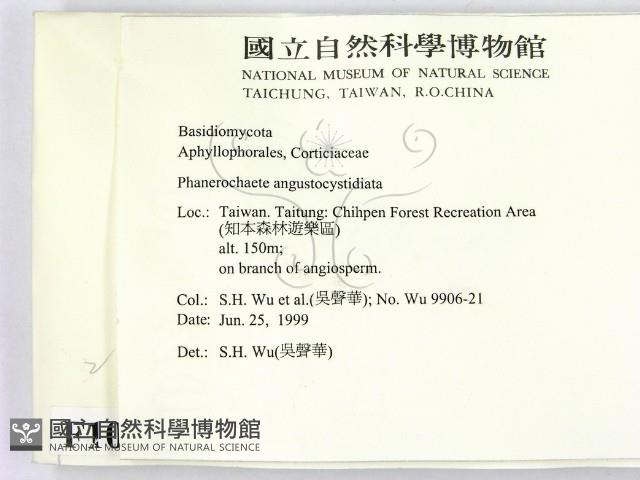 登錄號:F0010553藏品圖，第2張