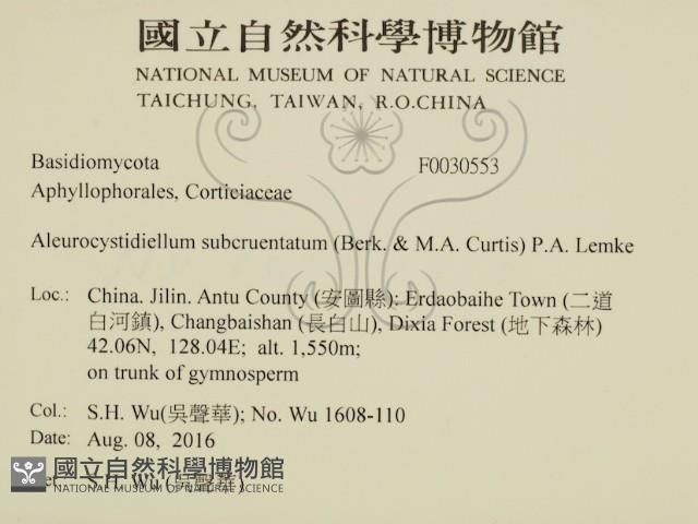 登錄號:F0030553藏品圖，第2張