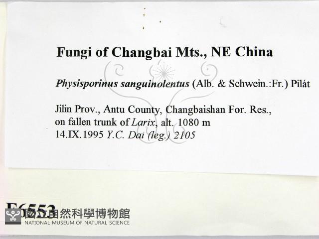 登錄號:F0006553藏品圖，第2張