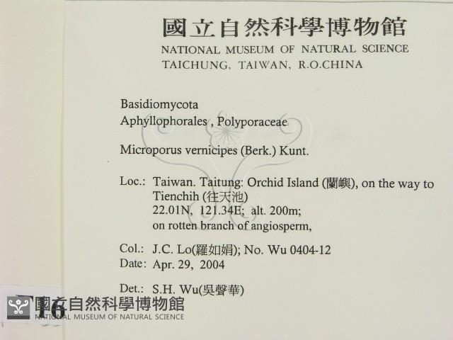 登錄號:F0016553藏品圖，第2張