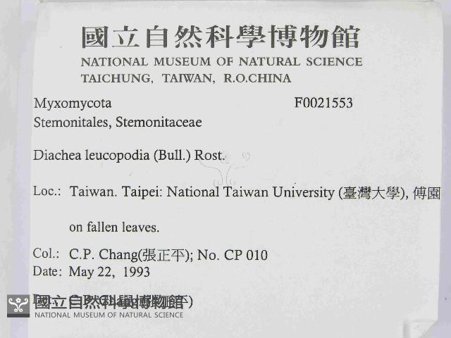 登錄號:F0021553藏品圖，第2張