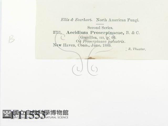 登錄號:F0011553藏品圖，第2張