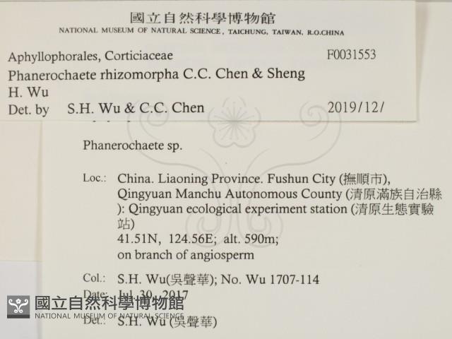 登錄號:F0031553藏品圖，第2張