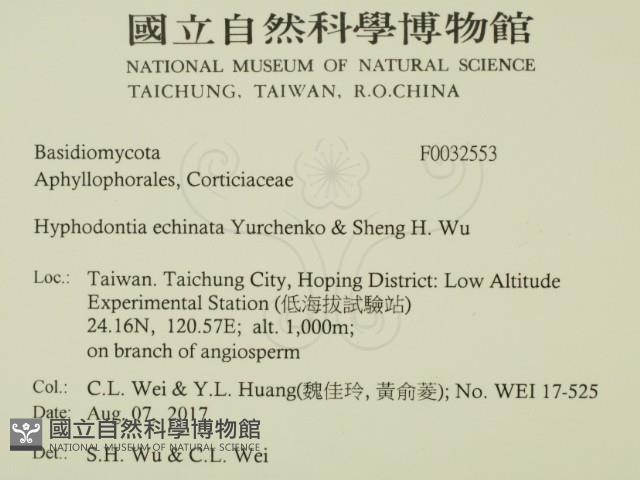 登錄號:F0032553藏品圖，第2張