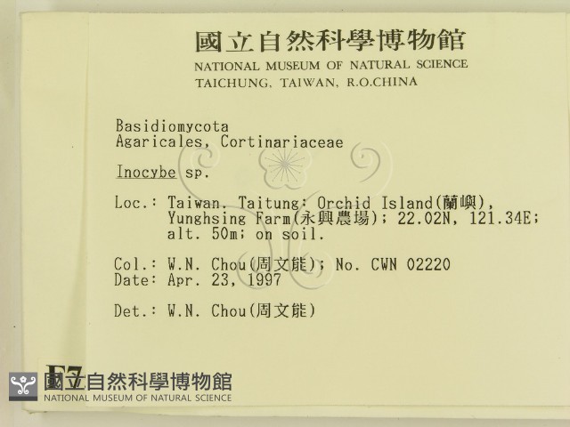 登錄號:F0007553藏品圖，第2張