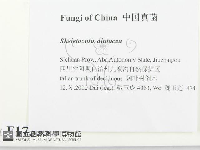 登錄號:F0017553藏品圖，第2張