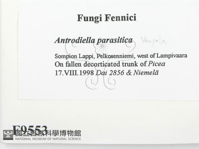 登錄號:F0009553藏品圖，第2張