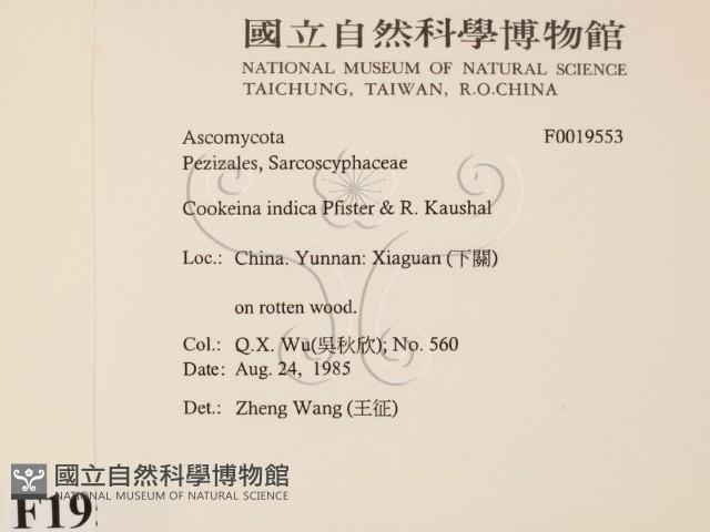 登錄號:F0019553藏品圖，第2張