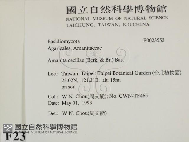 登錄號:F0023553藏品圖，第2張