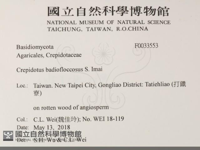 登錄號:F0033553藏品圖，第2張