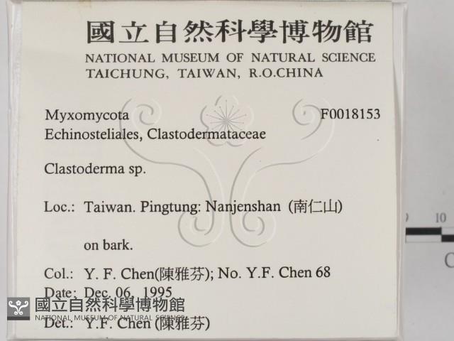 登錄號:F0018153藏品圖，第2張