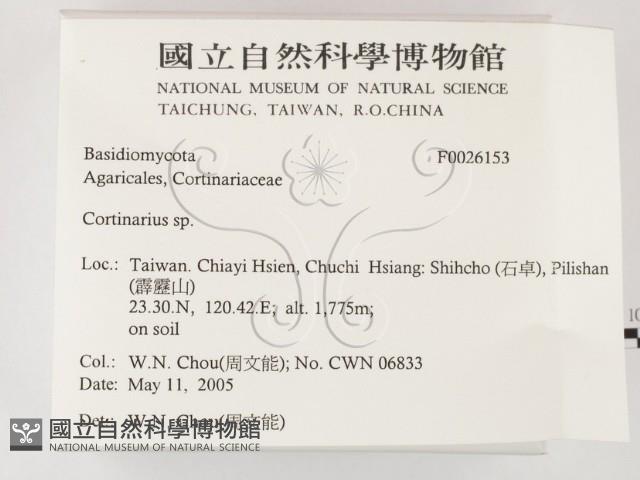 登錄號:F0026153藏品圖，第2張