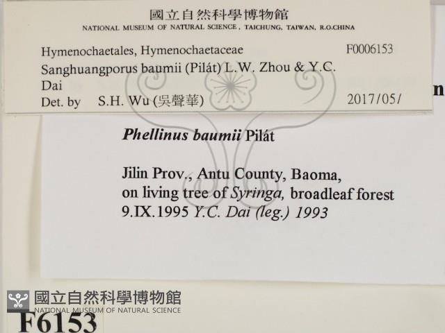 登錄號:F0006153藏品圖，第2張