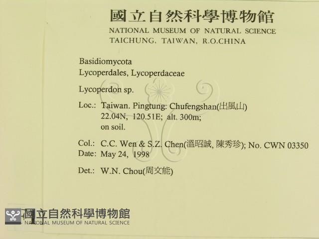 登錄號:F0011153藏品圖，第2張