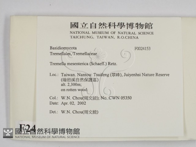 登錄號:F0024153藏品圖，第2張