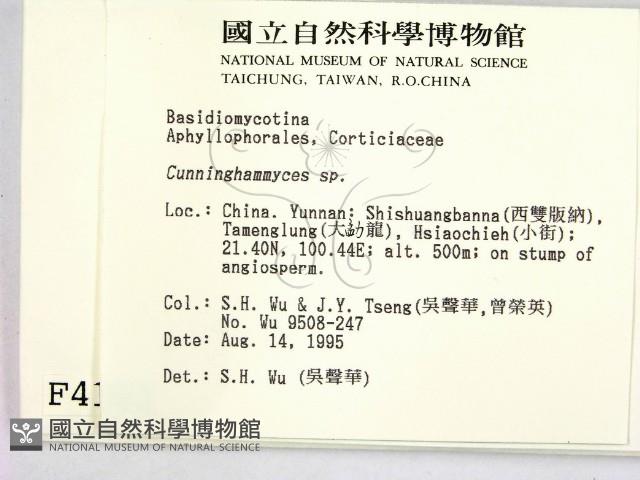 登錄號:F0004153藏品圖，第2張