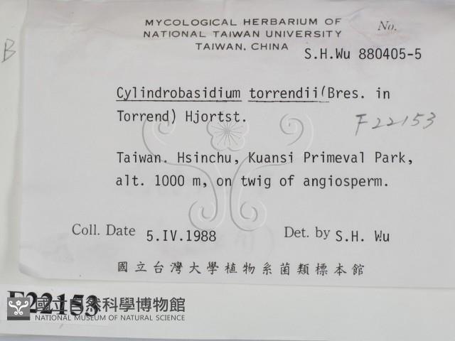 登錄號:F0022153藏品圖，第2張
