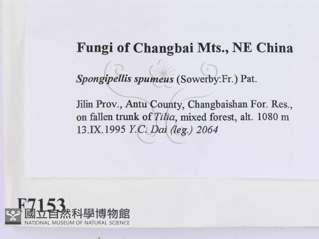 登錄號:F0007153藏品圖，第2張