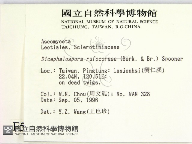 登錄號:F0005153藏品圖，第2張