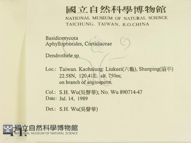登錄號:F0015153藏品圖，第2張
