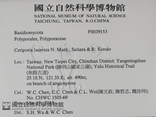 登錄號:F0029153藏品圖，第2張