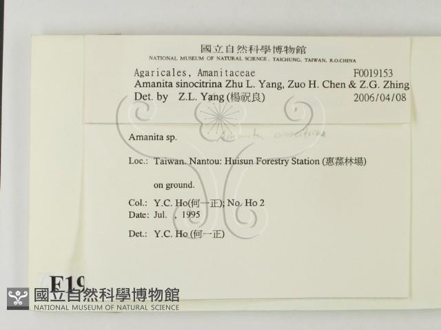 登錄號:F0019153藏品圖，第2張
