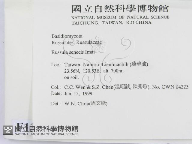 登錄號:F0013153藏品圖，第2張