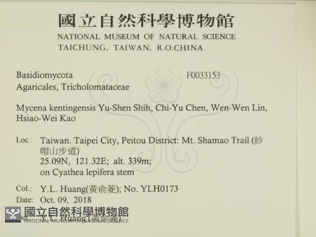 Accession Number:F0033153 Collection Image, Figure 2, Total 2 Figures