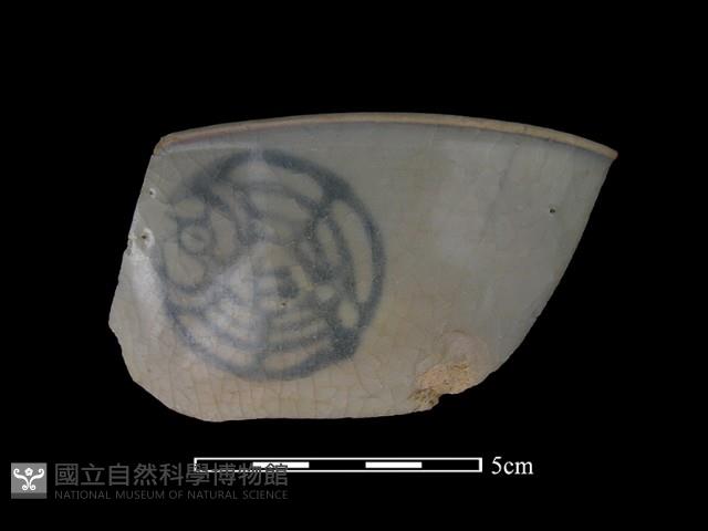 瓷片藏品圖，第1張