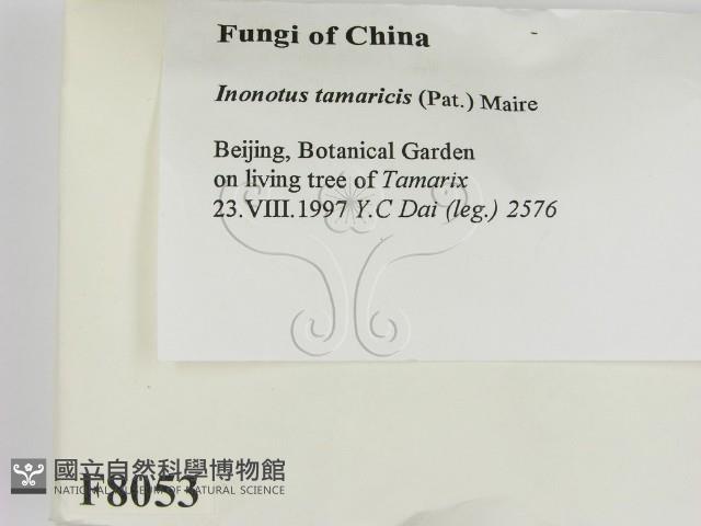 登錄號:F0008053藏品圖，第2張