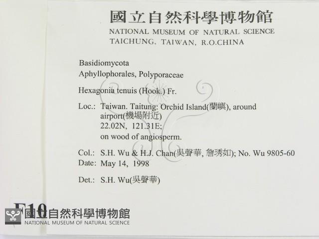 登錄號:F0010053藏品圖，第2張