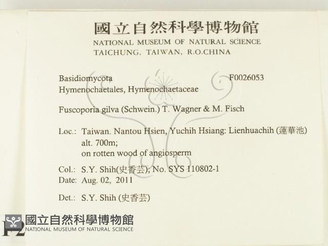 登錄號:F0026053藏品圖，第2張