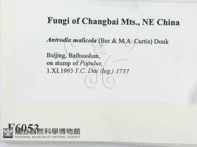 登錄號:F0006053藏品圖，第2張