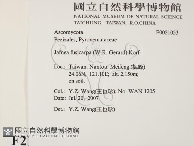 登錄號:F0021053藏品圖，第2張