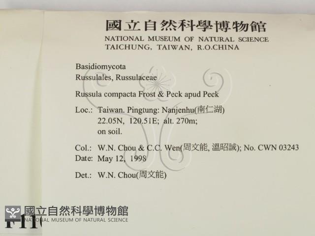 登錄號:F0011053藏品圖，第2張