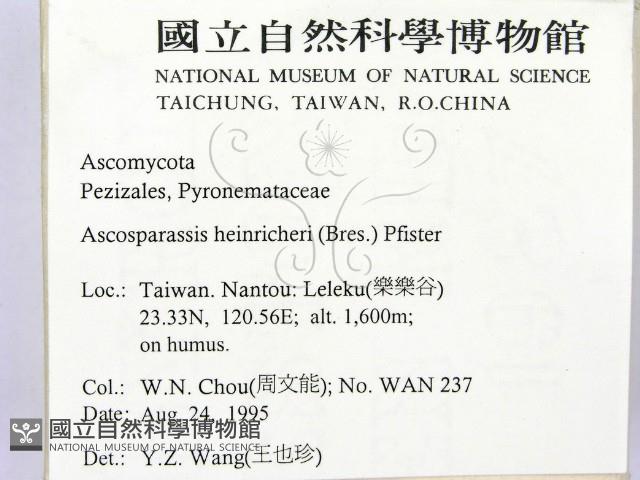 登錄號:F0004053藏品圖，第2張